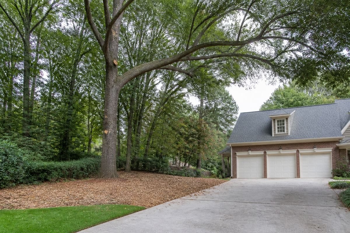 Residential yard with mature trees and turf
